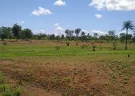 Two Plots of Land
